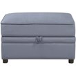 ACME Bois II Velvet Storage Ottoman in Gray