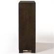 ACME Merveille Wood and Metal 5-Drawers Bedroom Chest in Espresso