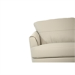 ACME Tacoma Leather Sofa in Beige