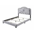 ACME Frankie Queen Bed in Gray Velvet