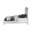 ACME Maverick Queen Upholstered Wooden Panel Bed in White Platinum