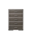 ACME Escher Chest in Gray Oak