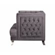 ACME Hegio Velvet Tufted Nail-head Trim Loveseat with 2 Pillows in Gray