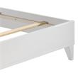 ACME Chelsie Wooden Queen Bed with Velvet Headboard in Gray and White