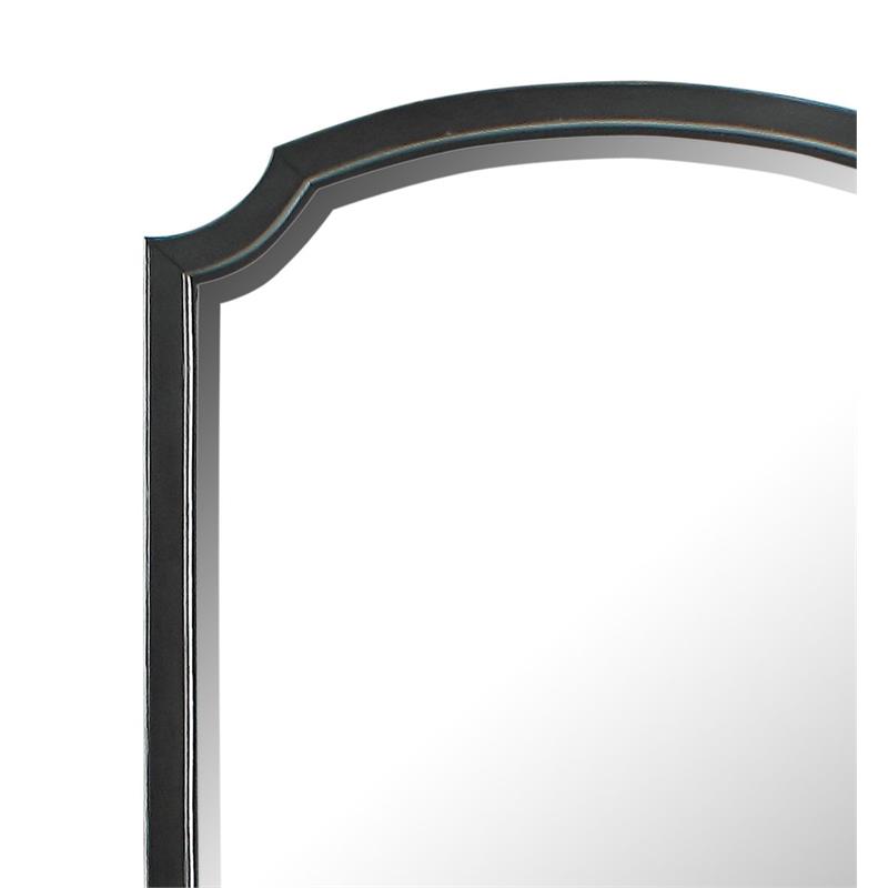 ACME House Beatrice Wooden Arched Frame Mirror with Beveled Edge in Charcoal