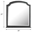 ACME House Beatrice Wooden Arched Frame Mirror with Beveled Edge in Charcoal