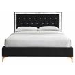 ACME Rowan Crystal-Like Tufted Fabric Queen Platform Bed in Black
