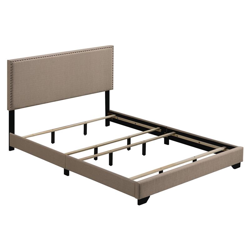 ACME Leandros Fabric Upholstered Queen Panel Bed with Nailhead Trim in Beige