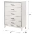 ACME Haiden 5-Drawer Bedroom Wooden Chest with Shimmering Trim in White