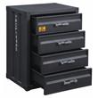 ACME Cargo Container Style Rectangular 4-Drawer Metal Chest in Gunmetal Metal