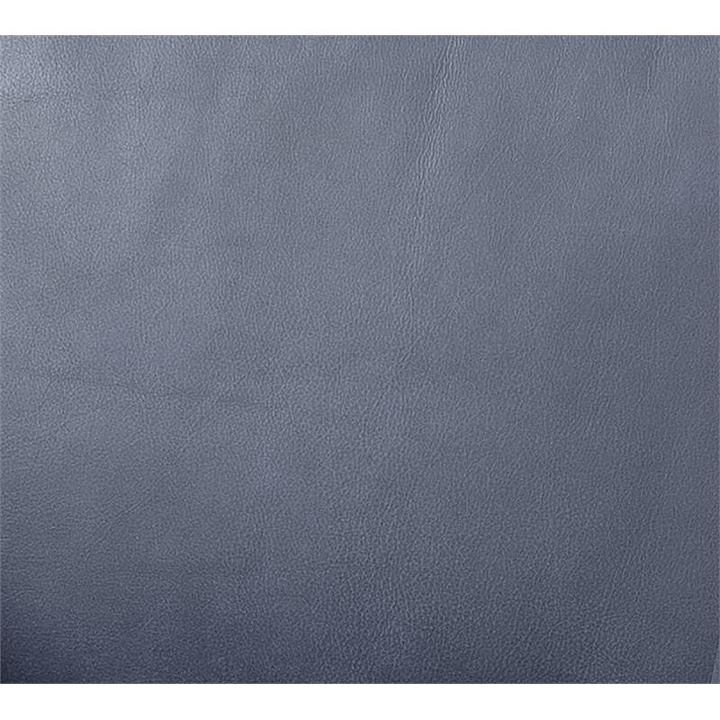 ACME Astonic Leather Upholstery Chair with Tight Black in Blue