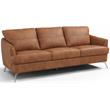 ACME Safi Contemporary Leather Upholstered Sofa in Cappuccino