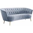 ACME Bayram Button Tufted Velvet Upholstery Sofa Metal Legs in Light Gray