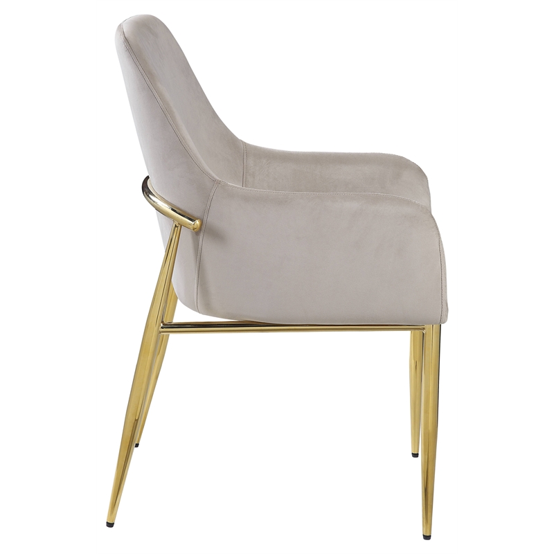 ACME Barnard Velvet Upholstery Side Chair in Gray and Mirrored Gold (Set of 2)