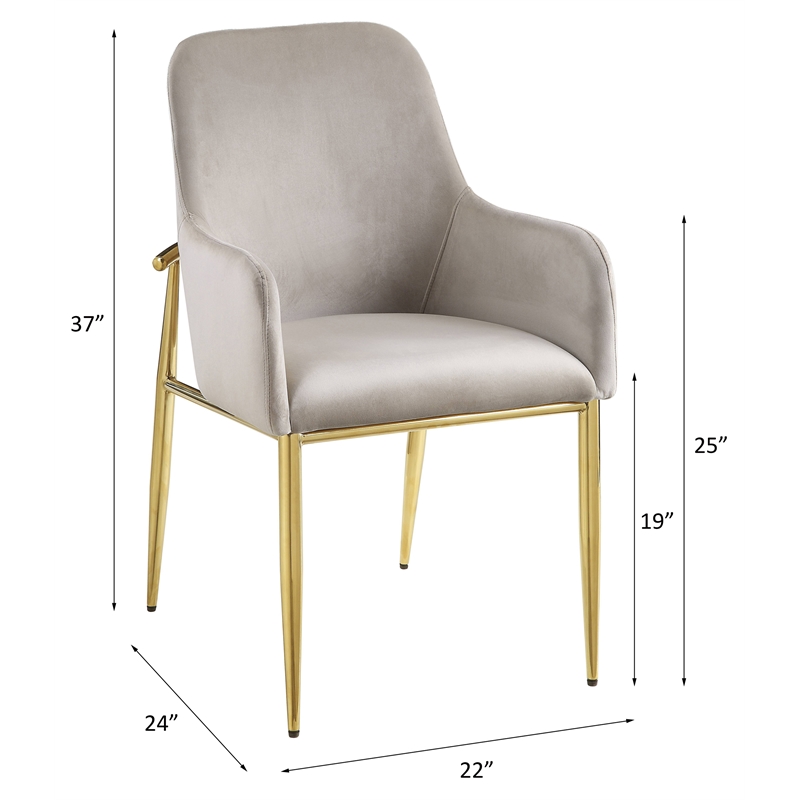 ACME Barnard Velvet Upholstery Side Chair in Gray and Mirrored Gold (Set of 2)