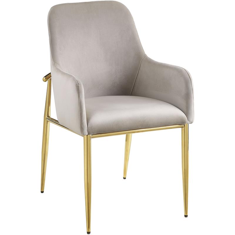 ACME Barnard Velvet Upholstery Side Chair in Gray and Mirrored Gold (Set of 2)