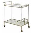 ACME Cirro Serving Cart with Metal Frame in Antique Mirror and Wire Brass