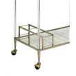 ACME Cirro Serving Cart with Metal Frame in Antique Mirror and Wire Brass