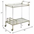 ACME Cirro Serving Cart with Metal Frame in Antique Mirror and Wire Brass