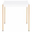 ACME Otrac Square Wooden Top End Table with Tube Legs in White and Gold