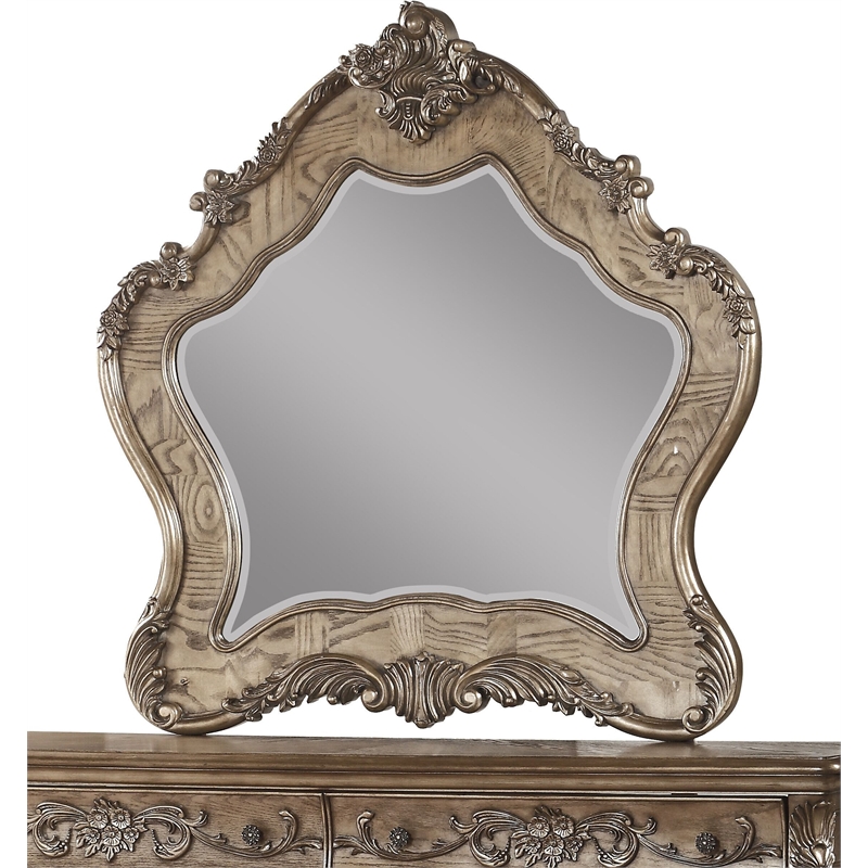 ACME Ragenardus Wooden Traditional Bedroom Mirror in Vintage Oak