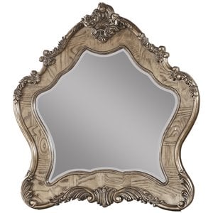 ACME Ragenardus Wooden Traditional Bedroom Mirror in Vintage Oak