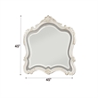 ACME Chantelle  Wooden Frame Mirror in Pearl White