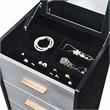 ACME Myles Jewelry Armoire in Black & Gold Finish