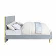 ACME Gaines Queen Bed in Gray High Gloss Finish