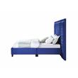 ACME Damazy Queen Bed in Blue Velvet