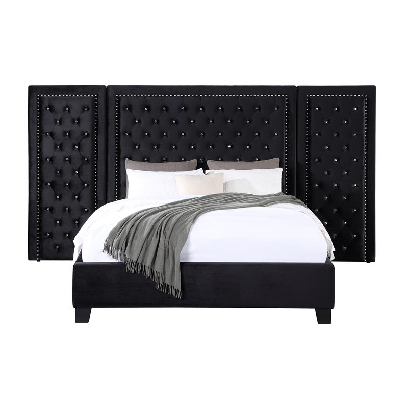 ACME Damazy Queen Bed in Black Velvet