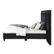 ACME Damazy Queen Bed in Black Velvet