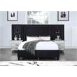 ACME Damazy Queen Bed in Black Velvet