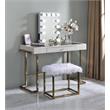 ACME Asa l Rectangle Wooden Frame Accent Mirror with Lighting in White