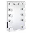 ACME Asa l Rectangle Wooden Frame Accent Mirror with Lighting in White