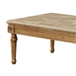 ACME Daesha Rectangular Marble Top Coffee Table in Antique Gold