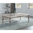 ACME Pelumi Rectangular Wood Coffee Table in Silver Platinum