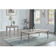 ACME Pelumi Rectangular Wood Coffee Table in Silver Platinum