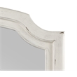ACME Jaqueline Wooden Frame Mirror in Light Gray and Antique White