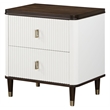 ACME Carena Wooden 2-Drawer Nightstand with USB in White and Brown