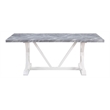 ACME Hollyn Wooden Dining Table with Engineering Stone Top in Gray/White