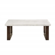 ACME Edwyn Marble and Wood Rectangular Coffee Table in White and Brown