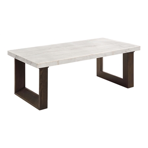 ACME Edwyn Marble and Wood Rectangular Coffee Table in White and Brown