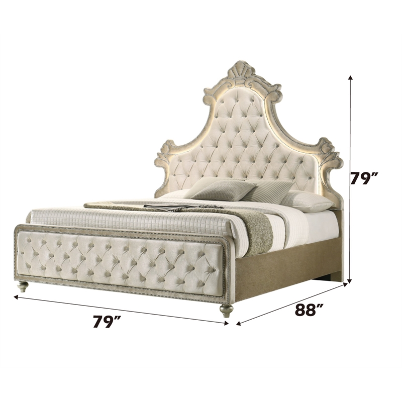 ACME Lucienne Velvet Upholstered Eastern King Bed with LED in Beige
