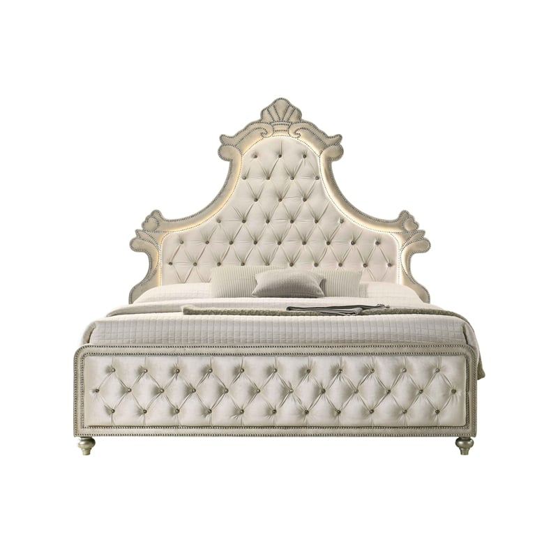 ACME Lucienne Velvet Upholstered Eastern King Bed with LED in Beige