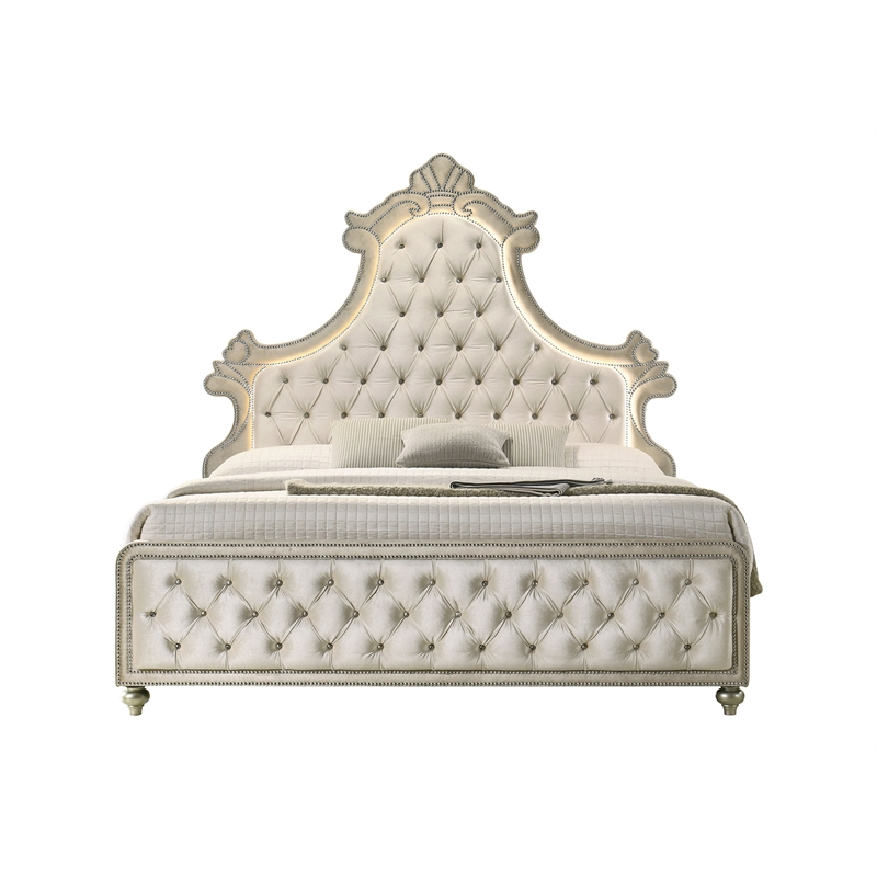 ACME Lucienne Velvet Upholstered Queen Bed with LED in Beige