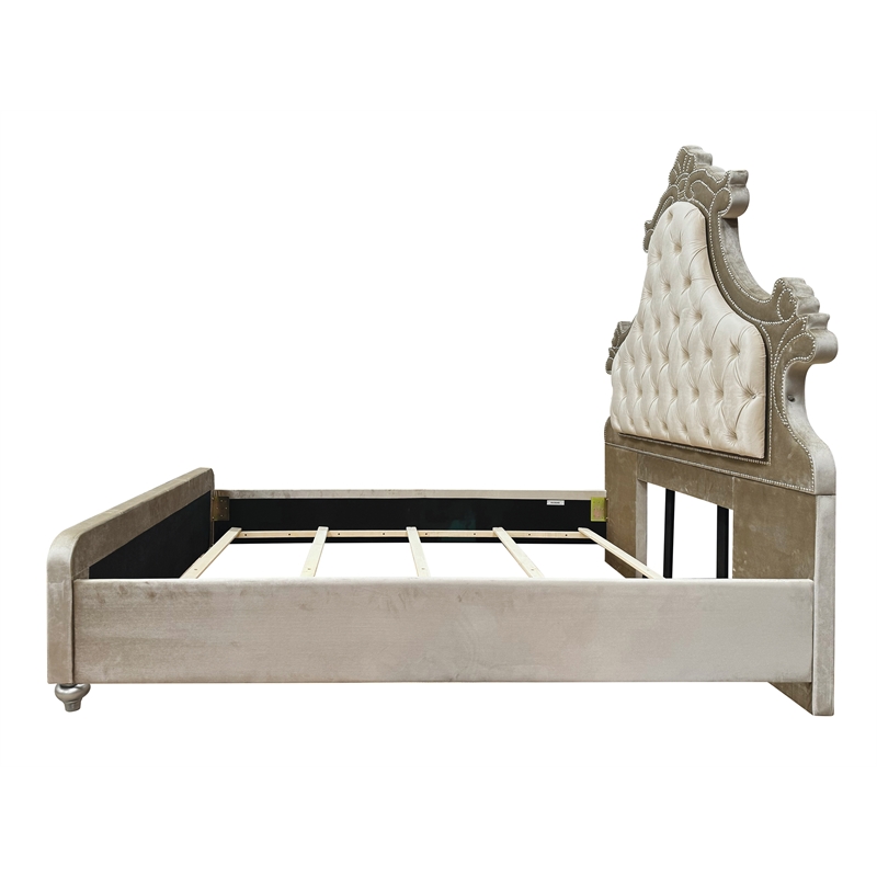 ACME Lucienne Velvet Upholstered Queen Bed with LED in Beige