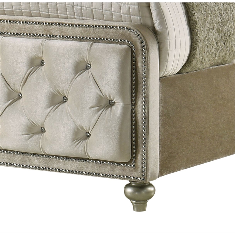 ACME Lucienne Velvet Upholstered Queen Bed with LED in Beige