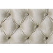 ACME Lucienne Velvet Upholstered Queen Bed with LED in Beige