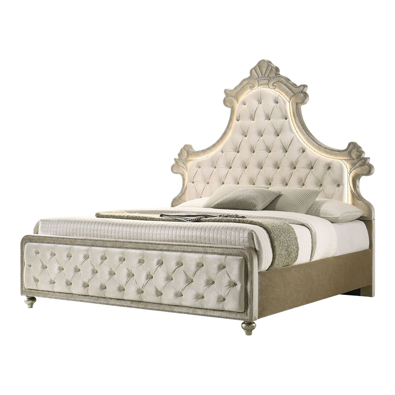 ACME Lucienne Velvet Upholstered Queen Bed with LED in Beige